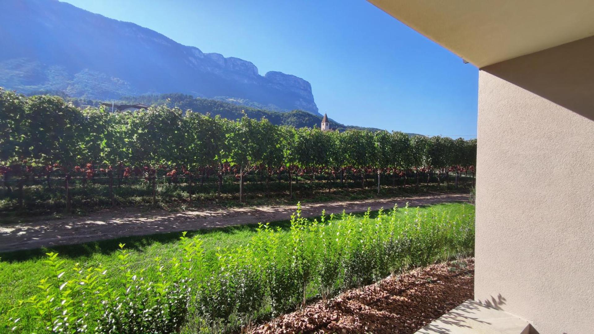 Highlight Apartments Appiano Sulla Strada Del Vino Cameră foto